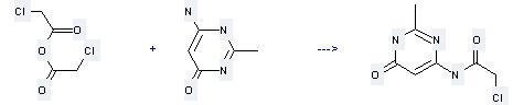 4(3H)-Pyrimidinone,6-amino-2-methyl- is used to produce 2-Chloro-N-(2-methyl-6-oxo-1,6-dihydro-pyrimidin-4-yl)-acetamide. 